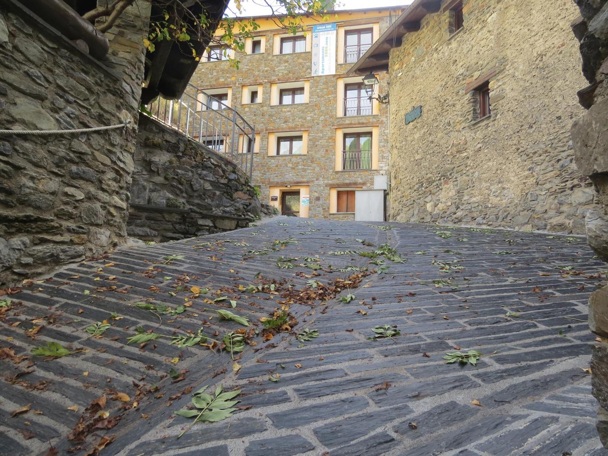 3000 Apartment Arinsal